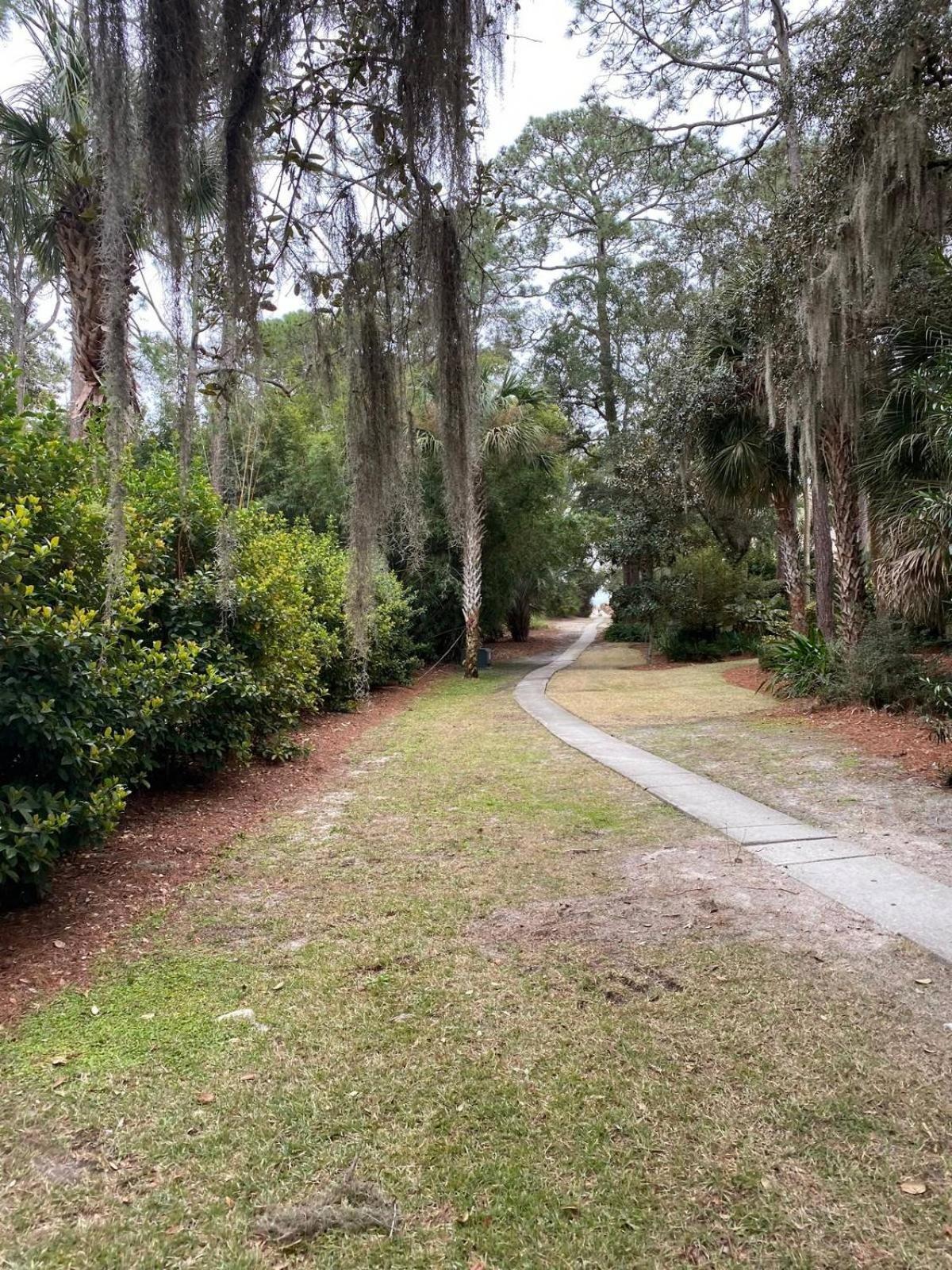 6 Wood Ibis - Host2Coast Villa Hilton Head Island Eksteriør bilde
